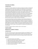 EL NUEVO PLAN ANUAL LENGUA 4° Y 5°