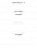 Como son los Pasos para crear empresa