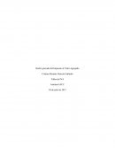 Hecho gravado del Impuesto al Valor Agregado