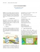 Los grandes Calculos Radio Mobile