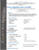 Ingresar a una empresa en la que pueda poner en práctica todos mis conocimientos