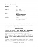 DILIGENCIAS ADELANTADAS