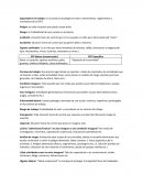 Resumen Seguridad en el trabajo