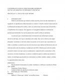 PRACTICA N° 13: CICLO CELULAR: MITOSIS