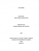 FLORA NORMAL. TECNÓLOGO EN PROCESAMIENTO DE ALIMENTOS