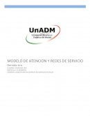 La red es entendida como una organización cuyas acciones apuntan hacia la provisión de los servicios de salud que de manera ordenada