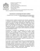 Aproximación a la antropología del sistema neoliberal