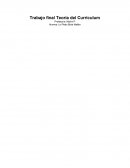 Teoria del curriculum final