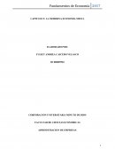 CAPITULO 2: LA MODERNA ECONOMIA MIXTA