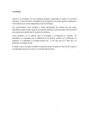 Síntesis de la educación como institución y como organización