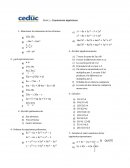 GUIA 1 – Expresiones algebraicas