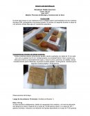 Procesos de Montaje y Construcción en Seco