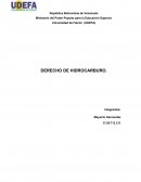 Derecho de hidrocarburo. Alternativas para la sustitución de la energía petrolera