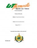 Procesos Especiales I Practica de Recocido