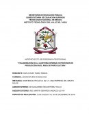ANTEPROYECTO DE RESIDENCIA PROFESIONAL “COLABORACIÓN EN LA AUDITORÍA INTERNA DE PROCESOS DE PRODUCCIÓN EN EL ÁREA DE PORCICULTURA”