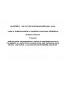 CALIDAD DE LA SENTENCIA DE DIVORCIO POR CAUSAL DE VIOLENCIA FÍSICA Y PSICOLÓGICA, Y SEPARACIÓN DE HECHO