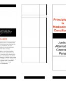 Principios de la Mediacicion y Conciliacion