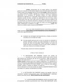 JUICIO DE RECTIFICACION DE ACTA DE NACIMIENTO