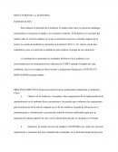 RESULTADOS DE LA AUDITORIA