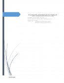 PLAN DE TRABAJO PARA LA CAPACITACIÓN EN EL ÁREA DE ADMINISTRACIÓN