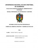 MODELO DE INFORME DE PRACTICAS