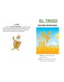 EL TRIGO El trigo es un RECURSO RENOVABLE,