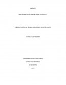 Desarrolle el presente taller individual que contiene la Unidad # 2. Mecanismos de Participación Ciudadana