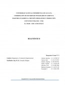 Diagnostico. Recolección y organización de la información