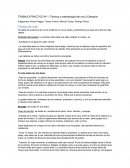 TRABAJO PRACTICO N°1: Técnica y metodología del crol y Ejemplos