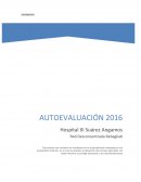 INFORME TÉCNICO DE LA AUTOEVALUACIÓN 2016 HOSPITAL III SUAREZ ANGAMOS