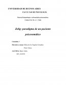 Zelig: paradigma de un paciente psicosomático