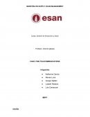 CASO: PINK TELECOMMUNICATIONS