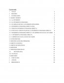 INVERSION EXTRAJNERA DIRECTA