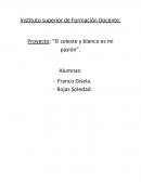 Proyecto: “El celeste y blanco es mi pasión”
