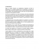 Problema ambientales. La Deforestación