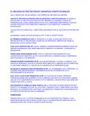 EL RECURSO DE PROTECCIÓN DE GARANTÍAS CONSTITUCIONALES