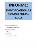 INFORME: Identificando las biomoleculas- agua