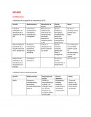 NEURO Antidepresivos Inhibidores de la captación de monoaminas (ATC)