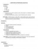 LABORATORIO DE PROPIEDADES COLIGATIVAS EXPERIMENTO 1