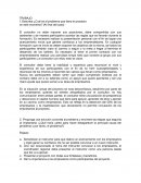 Describa ¿Cuál es el problema que tiene el proyecto en este momento? (Al final del caso)