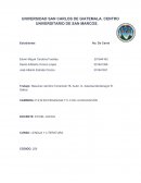 Resumen del libro Terremoto 76. Autor: G. Asturias Montenegro R. Gatica