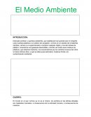 El medio ambiente. Un cambio en nuestra forma de pensar