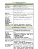 Presupuesto de Obra casa habtacion