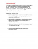 RESUME DEL PROGRAMA DE PPE