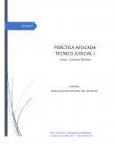 TECNICAS APLICADAS JUDICIAL