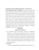 Recurso de Casación Daños y Perjuicios Civil