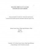 DESASTRE AMBIENTAL EN CASANARE MUNICIPIO DE PAZ DE ARIPORO