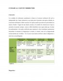 Cuidados del Paciente Moribundo