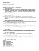 Taller de constitución