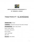 Trabajo Práctico N° 1: EL NITRÓGENO